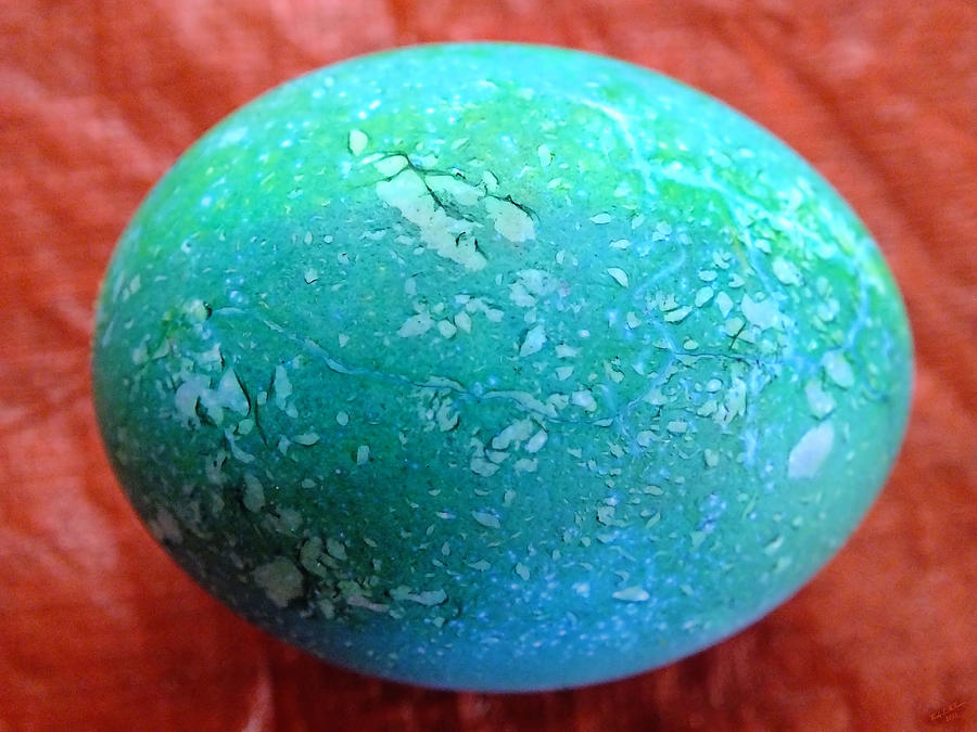 Egg Crackle Photograph by Wendy McKennon