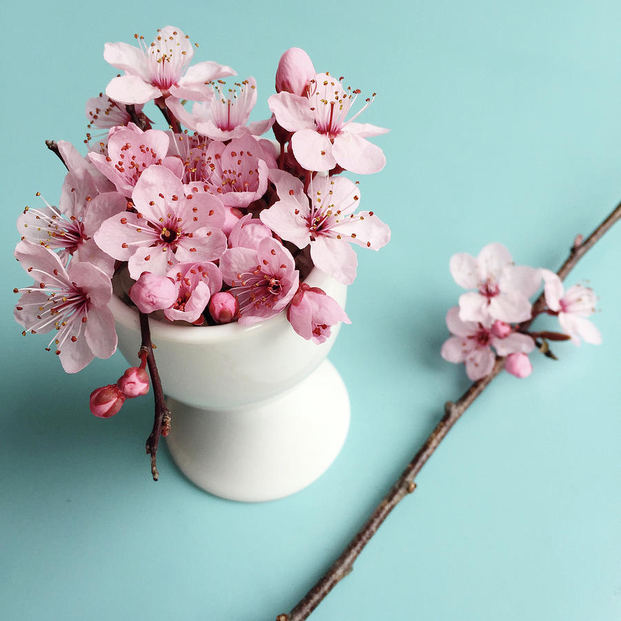 Egg Cup Filled With Pink Blossom Photograph by Lucydjevdet