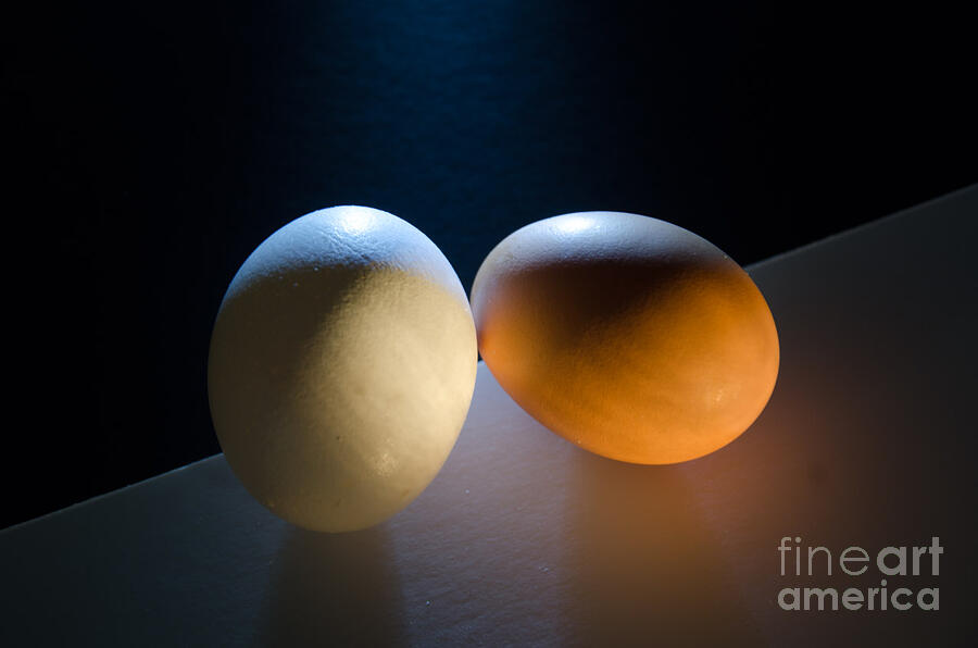 White Egg Brown Egg Photograph by Randy J Heath