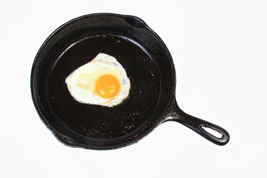 Egg in the Frying Pan Photograph by James BO Insogna