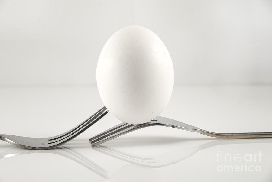Egg Photograph by Juli Scalzi
