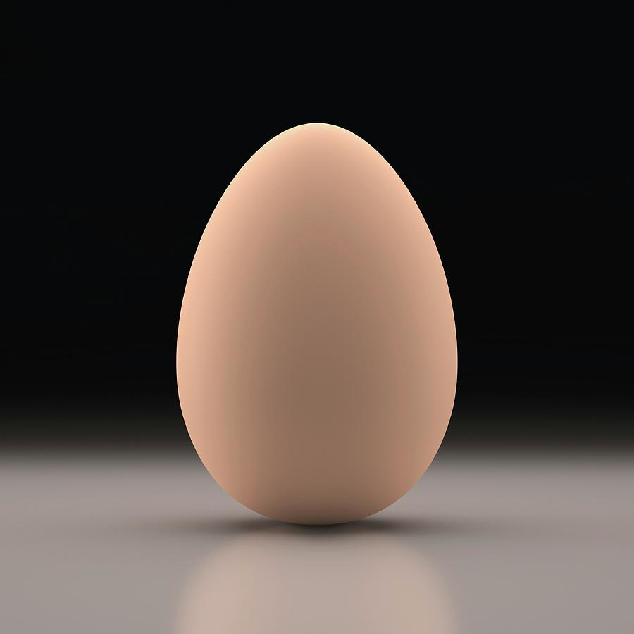 Egg Photograph by Ktsdesign