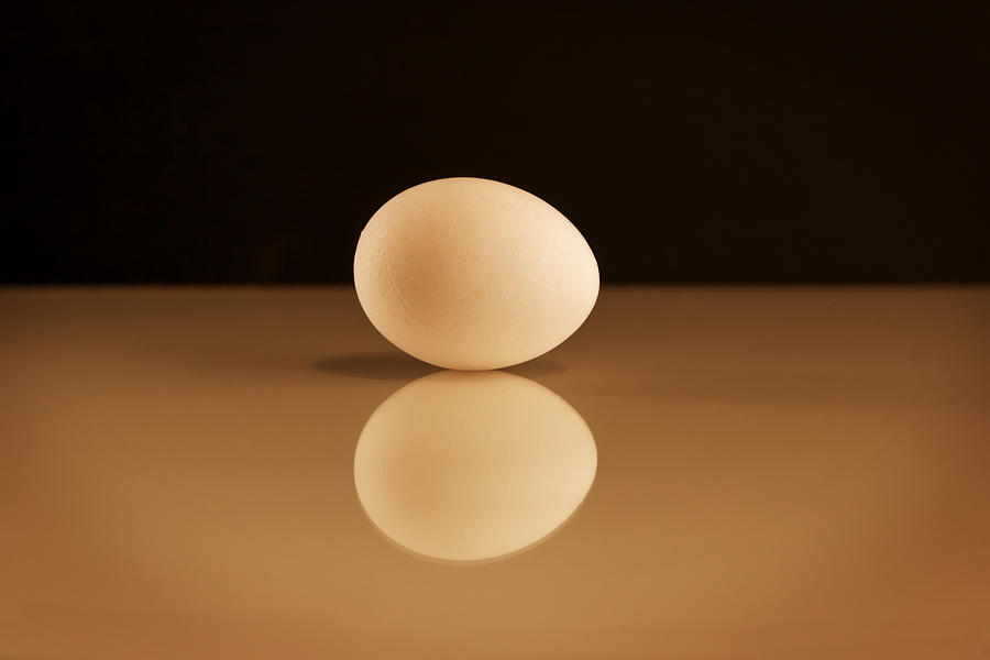 Egg Photograph