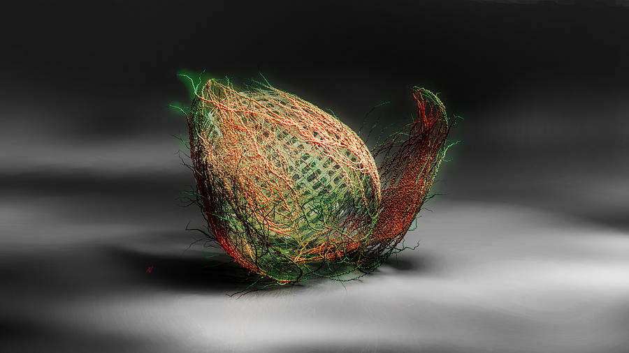Egg or Coconut Digital Art by Adam Vance