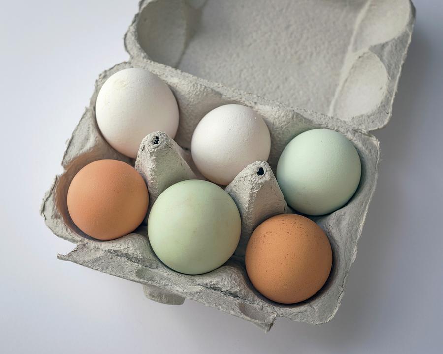 Egg Pigmentation Photograph by Robert Brook