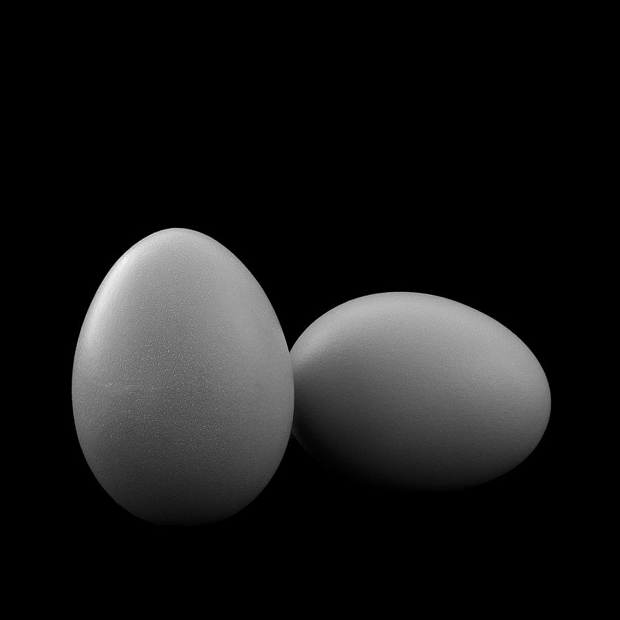 Egg Play In A Square Photograph