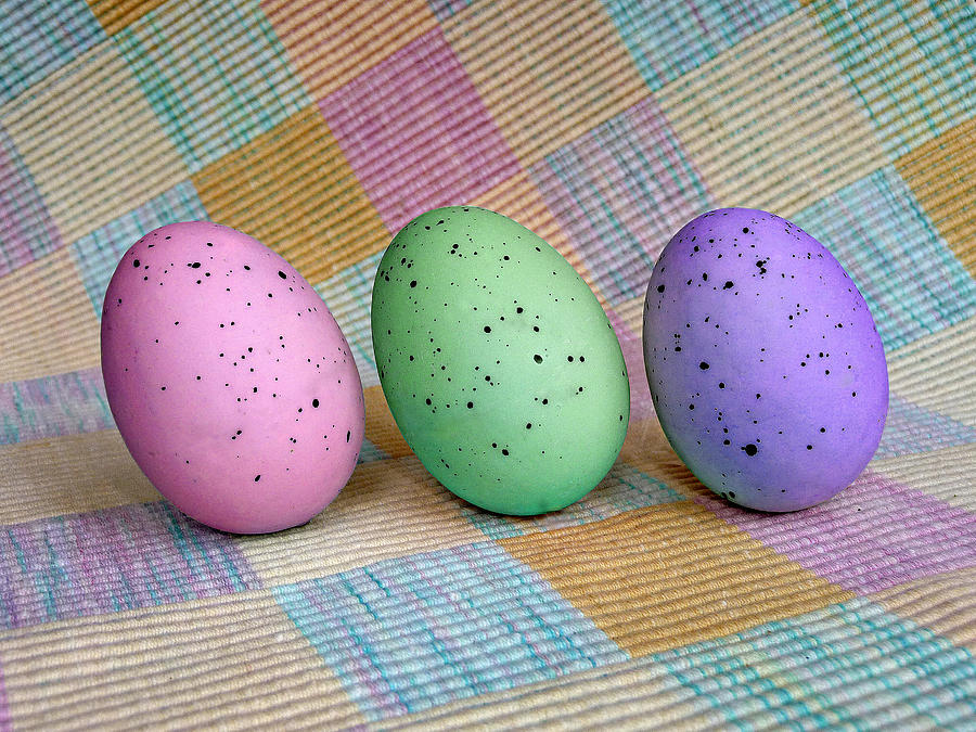 Easter Egg Roll Photograph