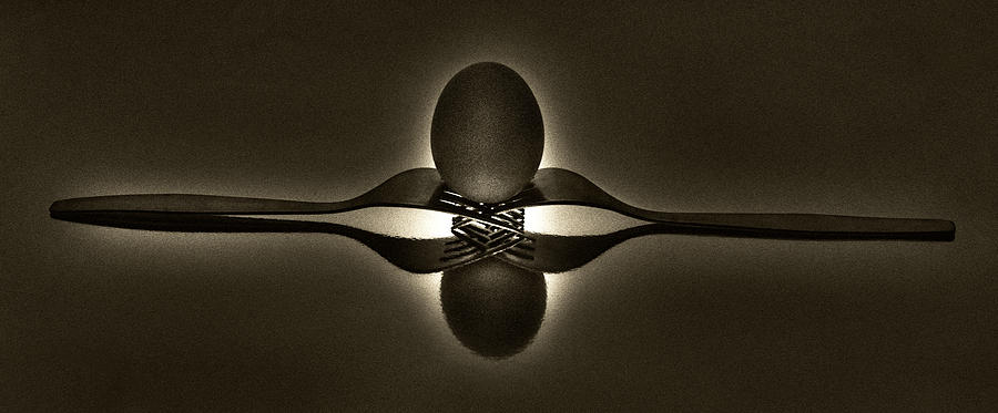Egg Photograph - egg by Rosen Kutsarov
