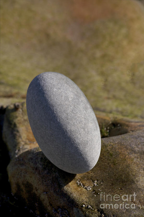 Egg-Shaped Stone Photograph by Heiko Koehrer-Wagner