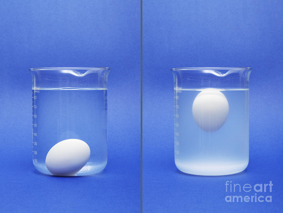 Egg Sinking And Floating Photograph by GIPhotoStock