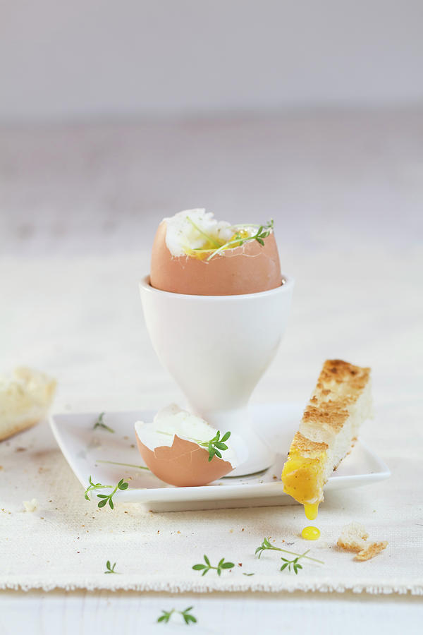 Egg With Toasted Bread On Plate, Close Photograph by Westend61