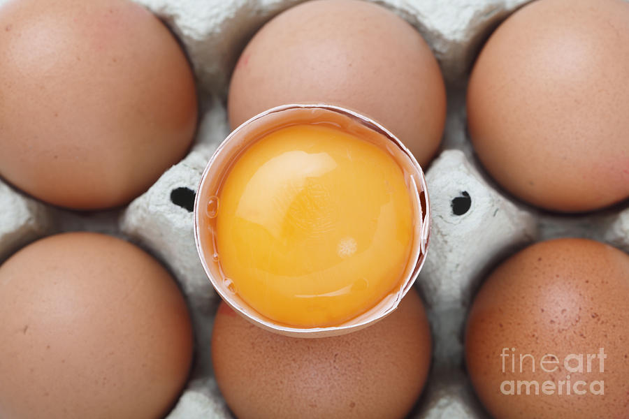 Egg yolk from above Photograph by Paul Cowan