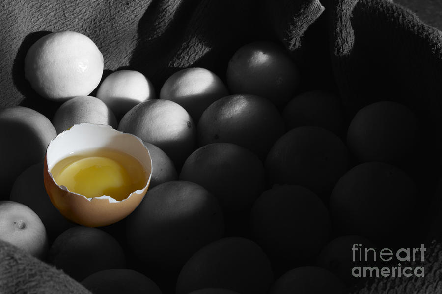 Egg Yolk Photograph by Laura Forde