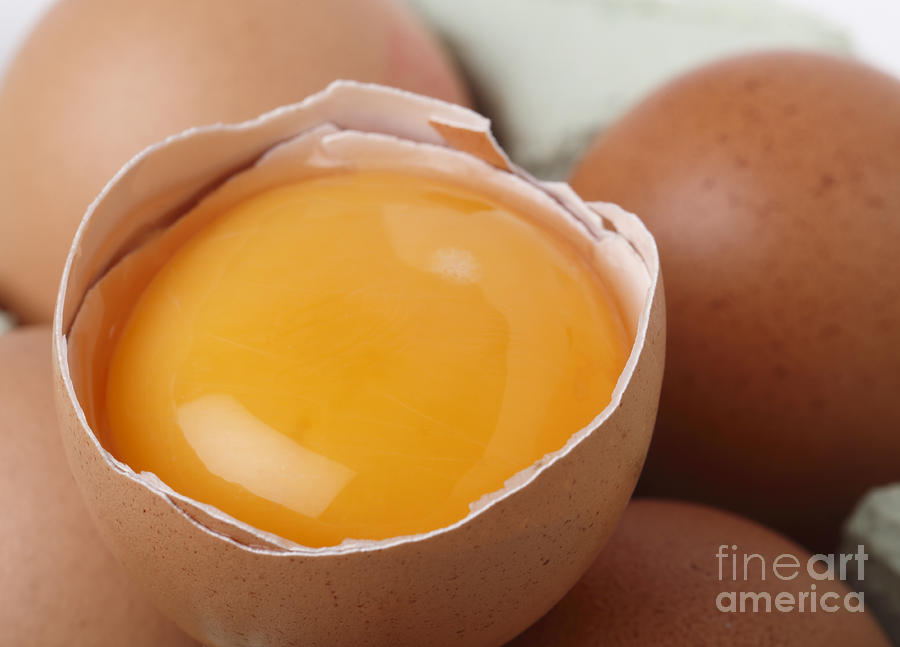 Egg yolk macro Photograph by Paul Cowan