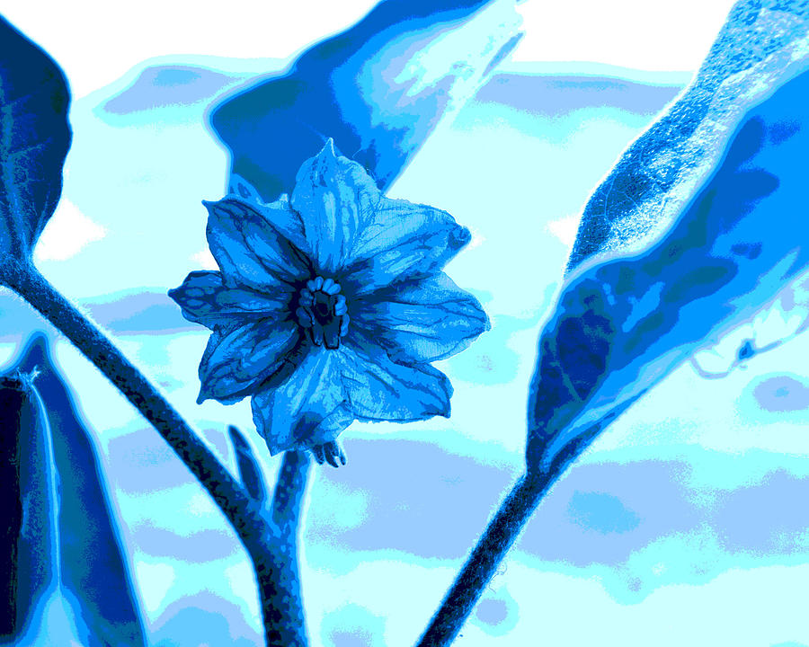 Eggplant Bloom In Blue Digital Art by Lisa Holland-Gillem