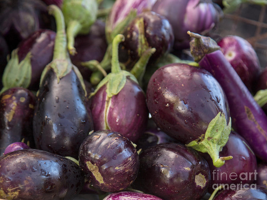 Eggplant Closeup Photograph by Rebecca Cozart
