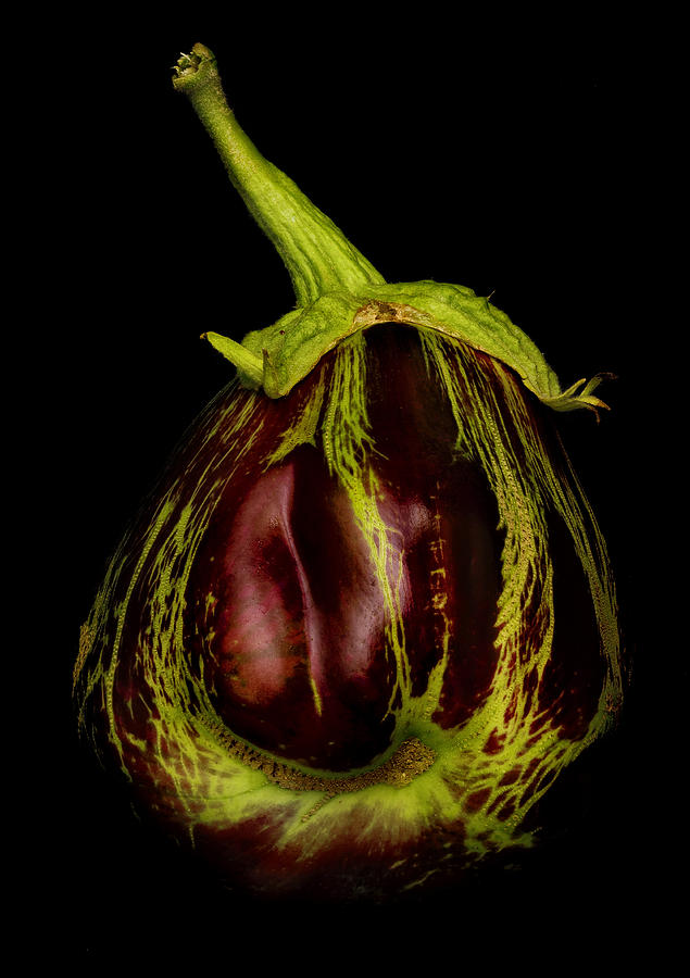 Eggplant From Jennifers Garden Photograph by Robert Woodward