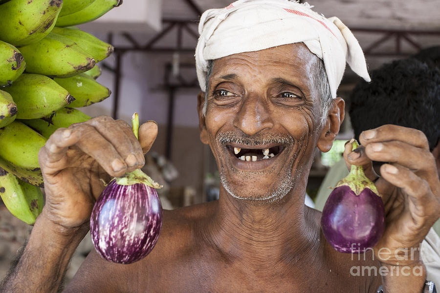 Eggplant Photograph by Sonny Marcyan