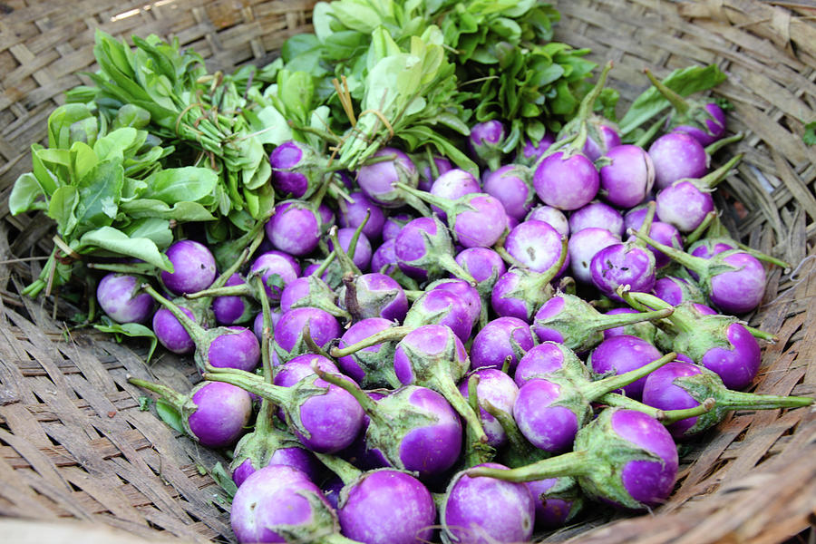 Eggplantbrinjals In Myanmar Photograph by Wu Swee Ong