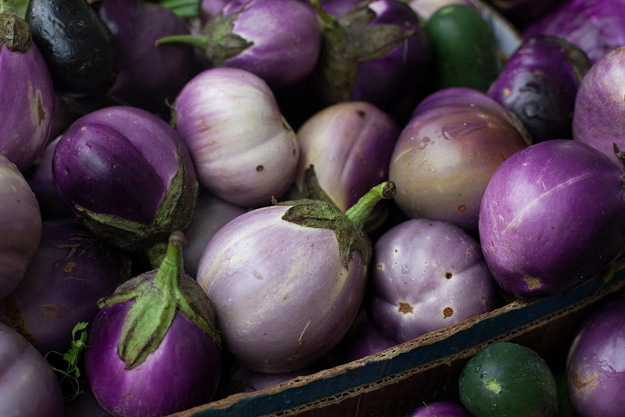 Eggplants At A Farmers Market Photograph by Elisa Cicinelli