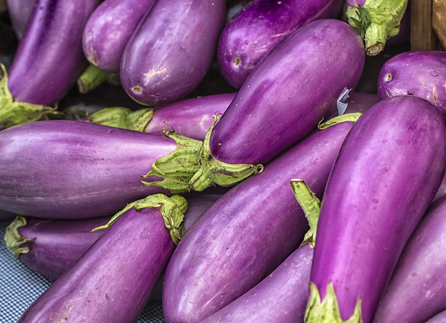 Eggplants Photograph by John Hoey