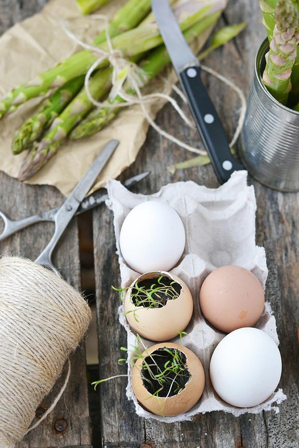 Eggs And Asparagus Photograph by Zoryana Ivchenko