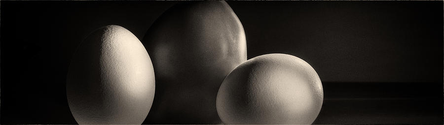 Eggs and Tomato Photograph by Peter V Quenter