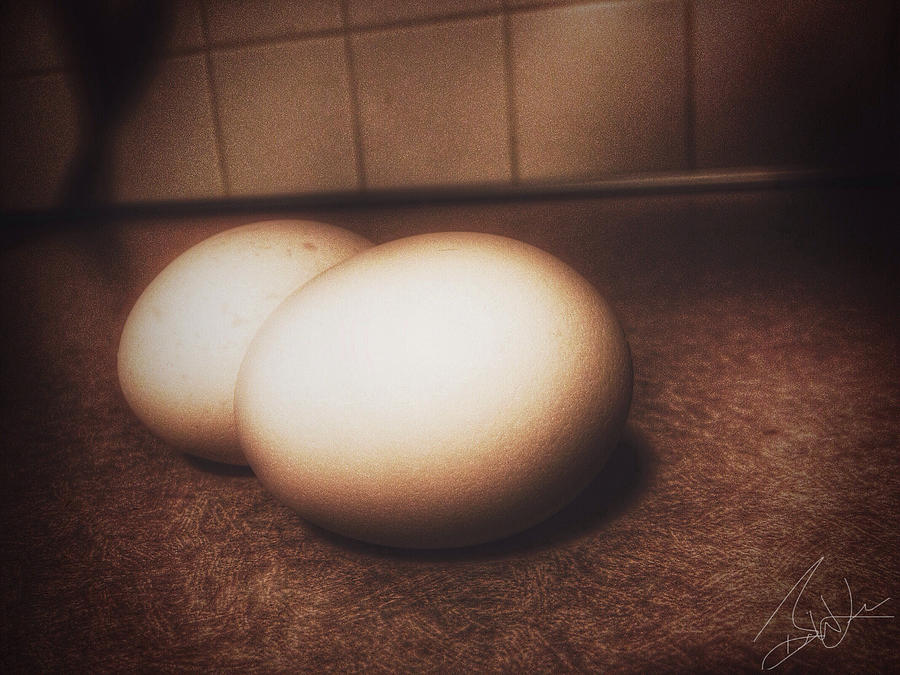 Egg Photograph - Eggs by Brian Lea