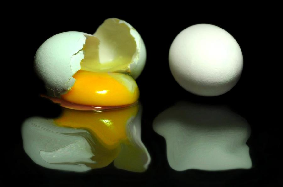 Egg Photograph - Eggs Gone Wild by Diana Angstadt