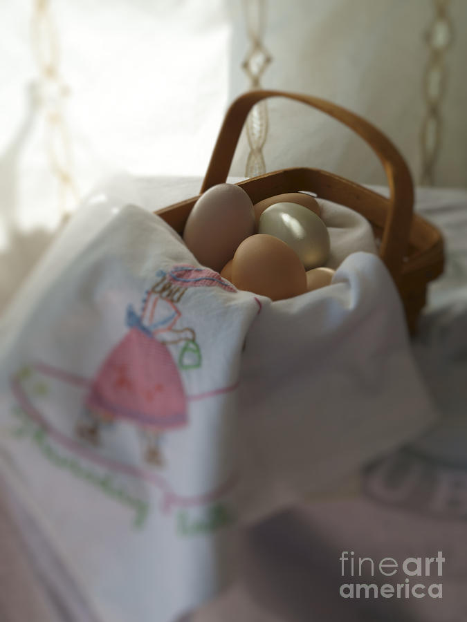 Eggs in a Basket 1 Photograph by MM Anderson