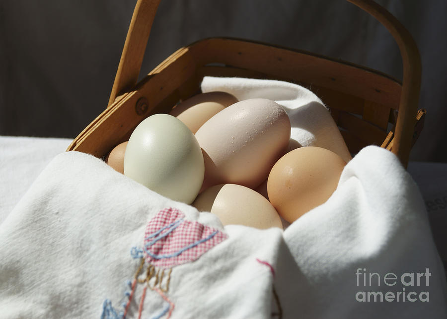 Eggs in a Basket 2 Photograph by MM Anderson