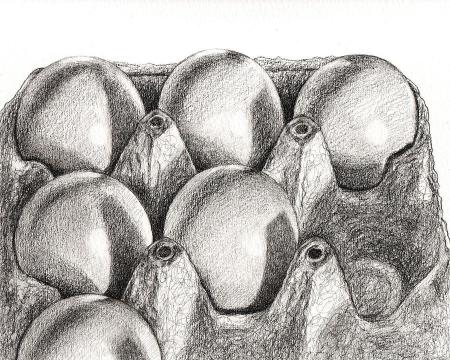 Eggs in Carton Drawing by Kazumi Whitemoon Pixels