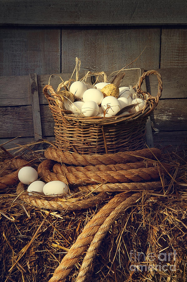 Eggs in wicker basket on a bale of hay Photograph by Sandra Cunningham