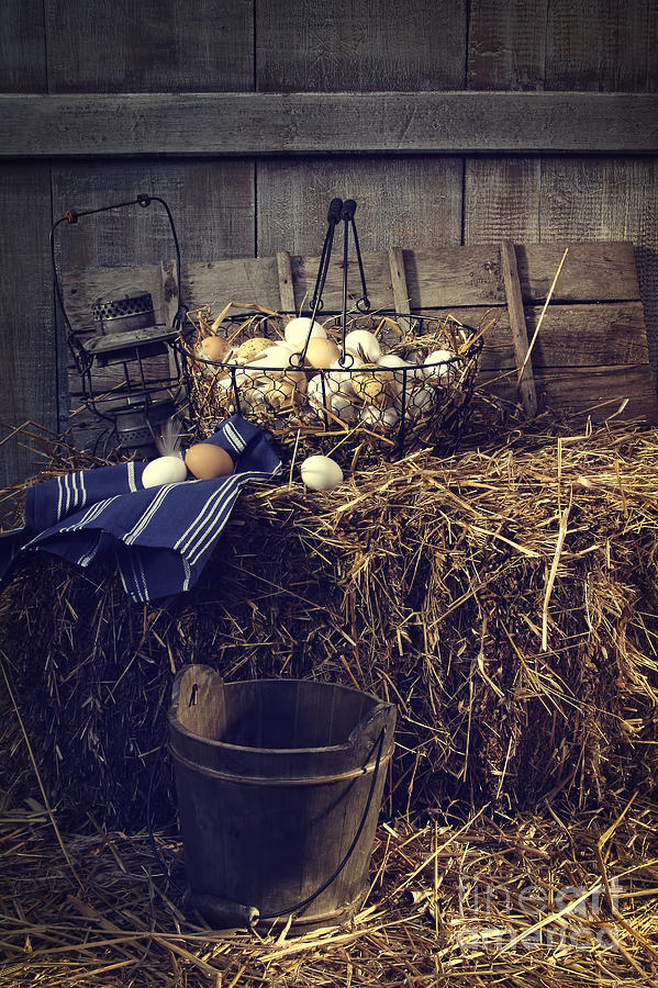Eggs in wire basket on hay in barn Photograph by Sandra Cunningham