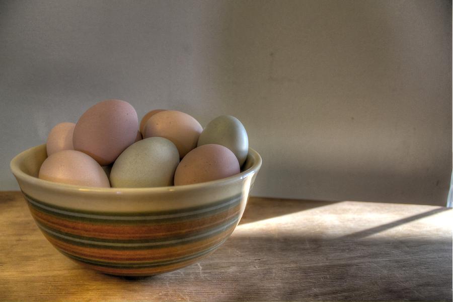 Eggs Photograph by Jane Linders