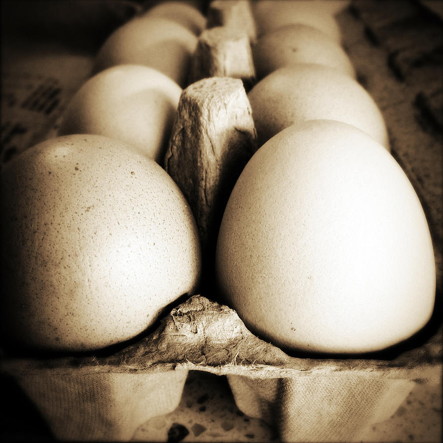 Chicken Photograph - Eggs by Les Cunliffe