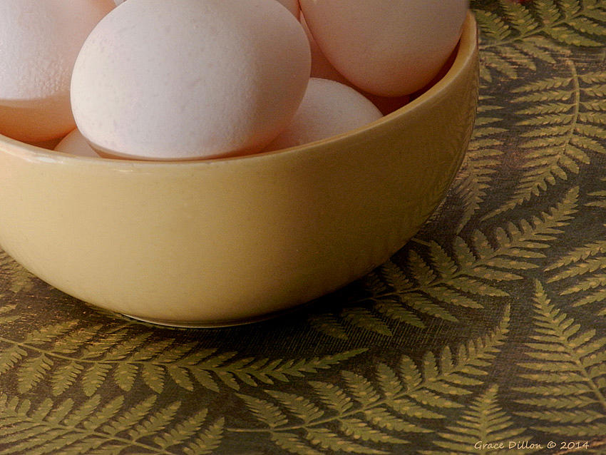 Eggs N Ferns Photograph