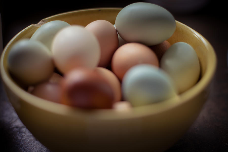 Eggs of many colors Photograph by Toni Hopper