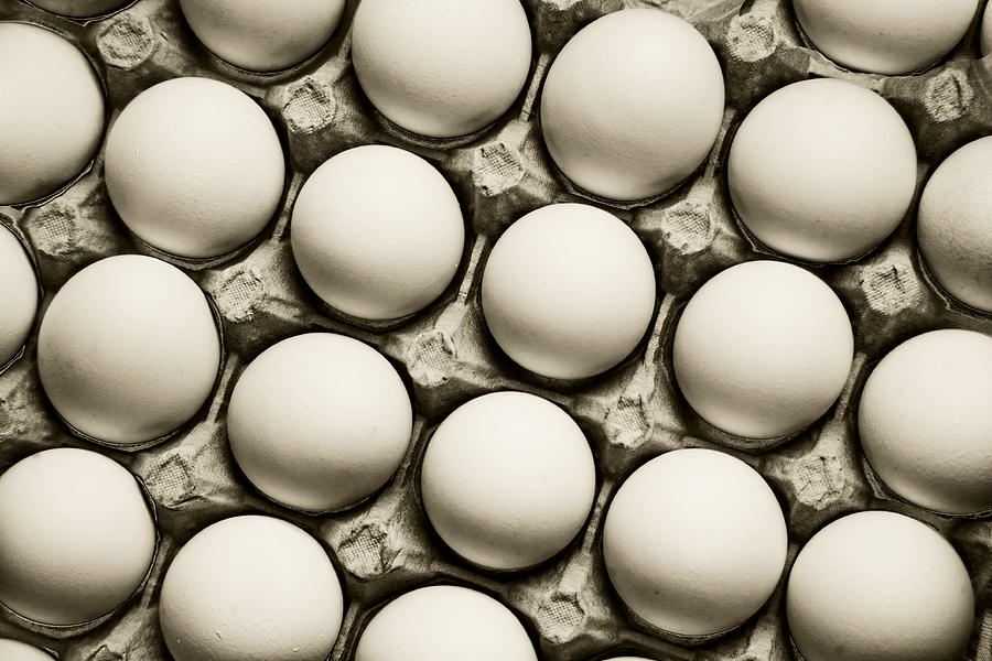 Eggs Photograph by Steve Gravano