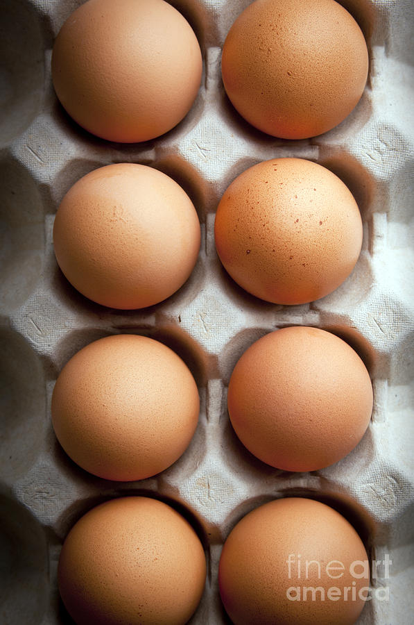 Chicken Photograph - Eggs by THP Creative