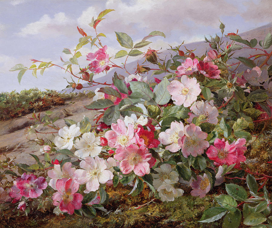 Flower Painting - Eglantine, 1883 by William Jabez Muckley