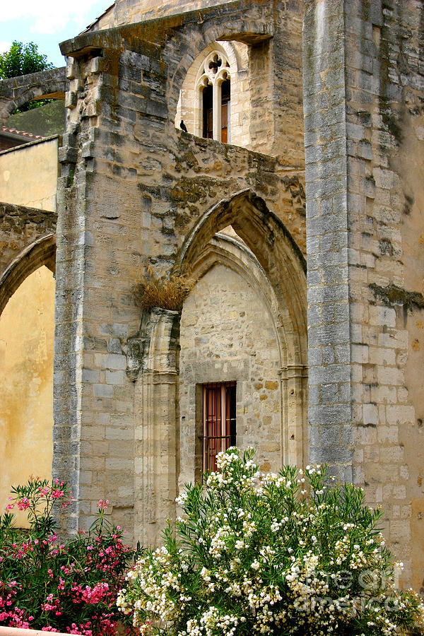 Eglise St. Pierre, Avignon Photograph by Holly C. Freeman