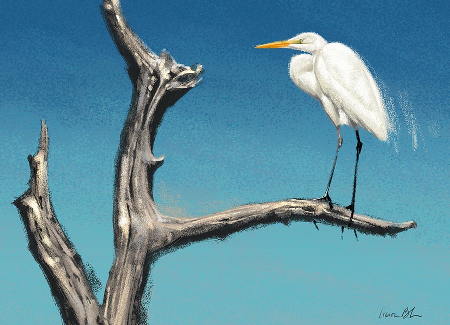 Egret Digital Art by Aaron Blaise