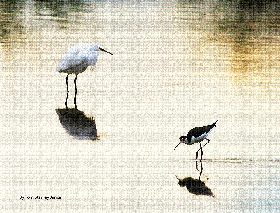 Egret and Stilt At The GRP Photograph by Tom Janca