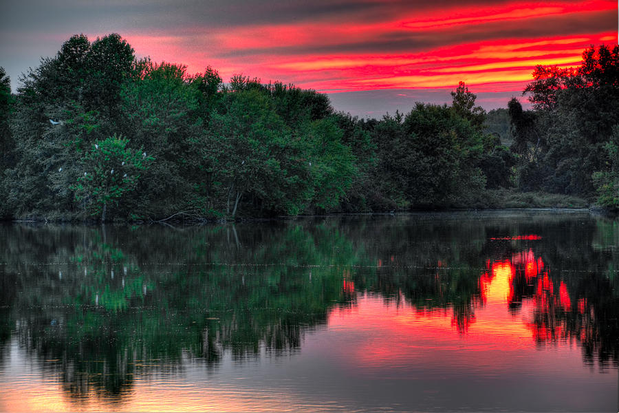 Egret Cove Sunset Photograph by William Jobes