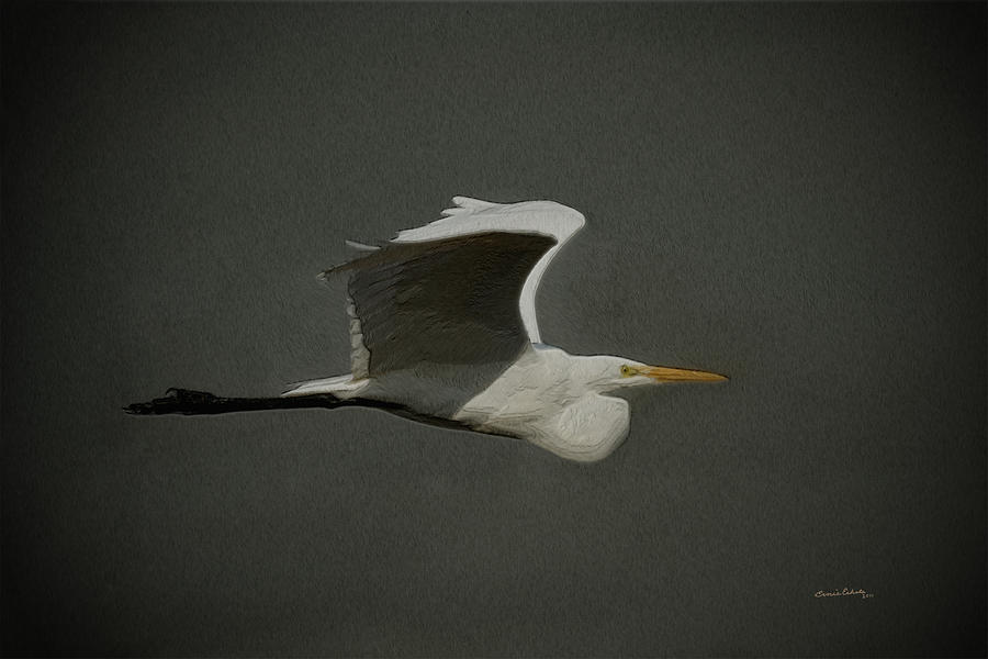Egret Fly By 2 Digital Art by Ernest Echols
