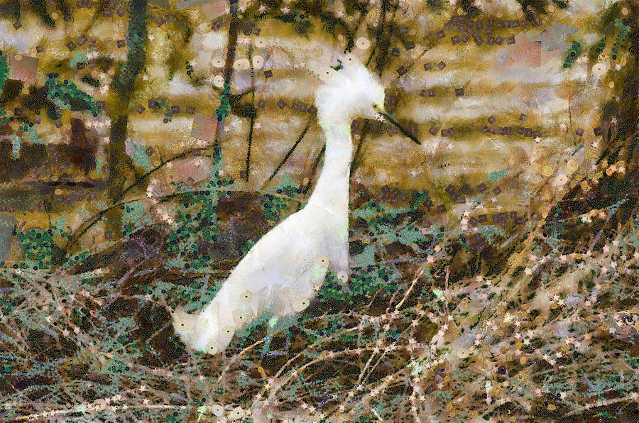 Egret In A Nest Of Stars Mixed Media by Priya Ghose