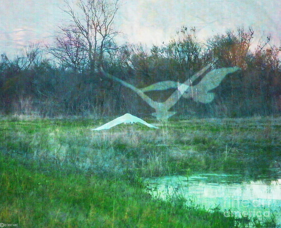 Egret in Retreat Digital Art by Lizi Beard-Ward