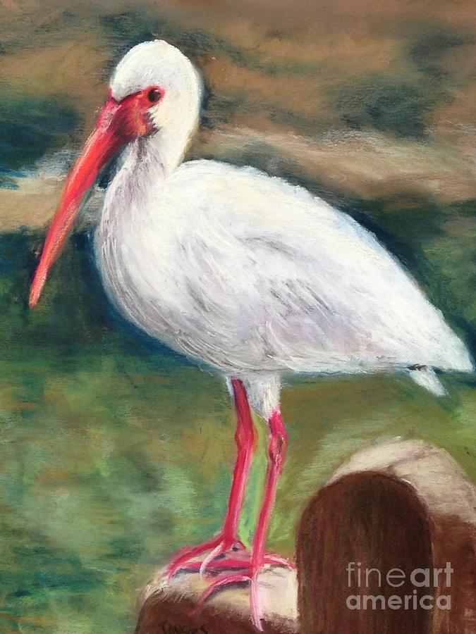 Egret Painting by Joyce Spencer