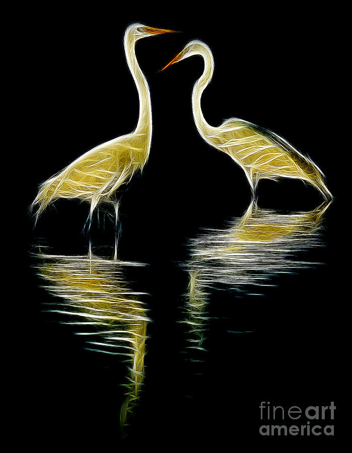 Egret Pair Photograph by Jerry Fornarotto
